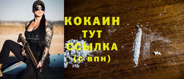 стафф Осинники