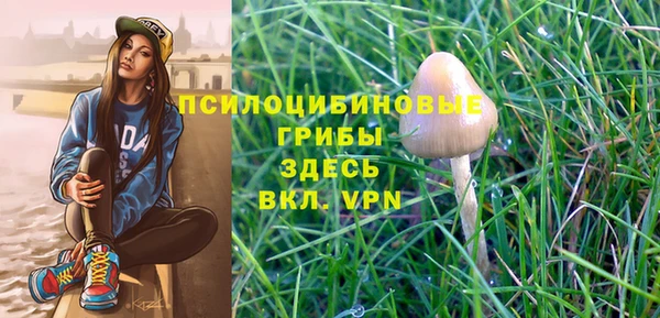 сатива Алексеевка
